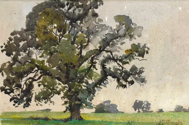 An Oak Tree on the Edge of a Field